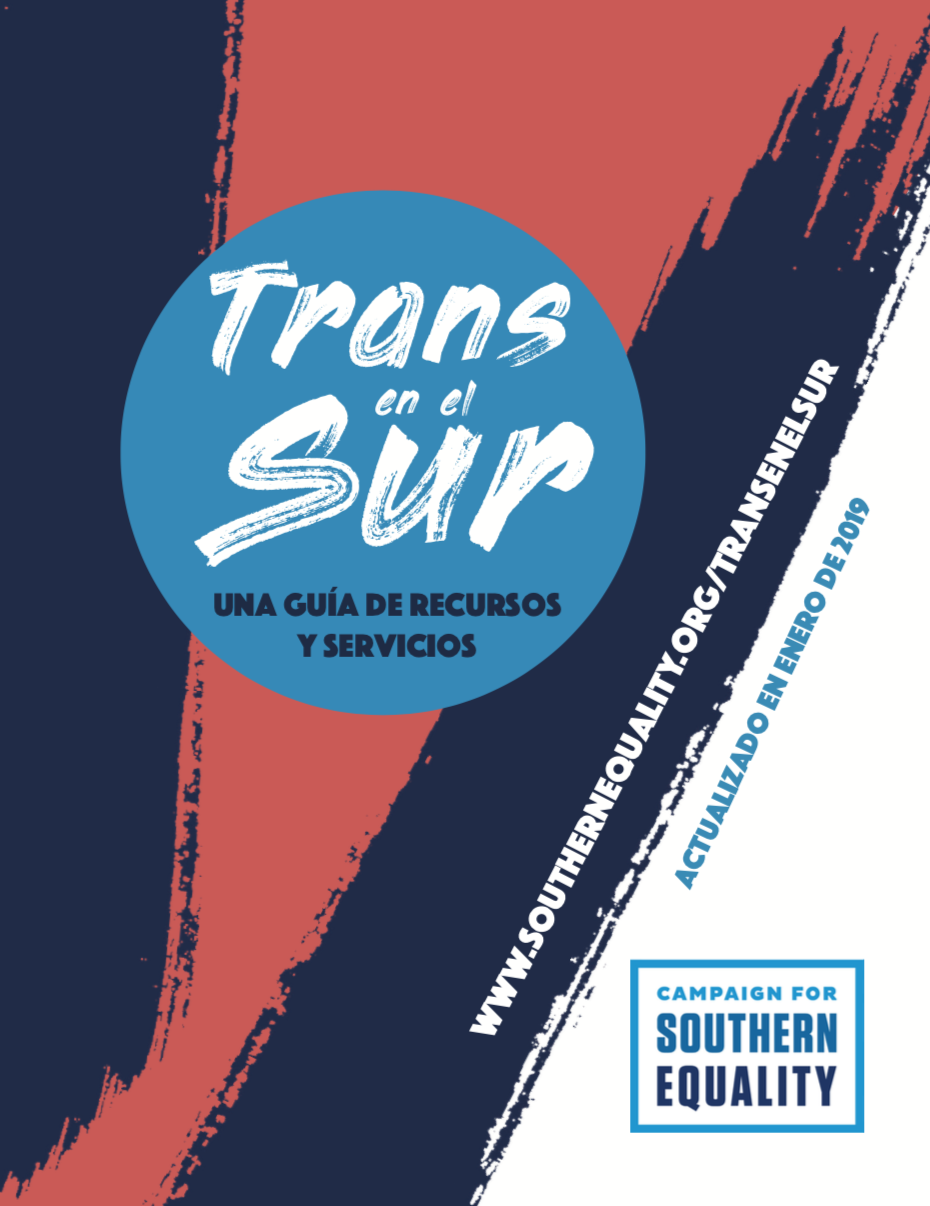 Trans en El Sur 2019